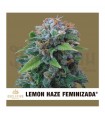 Semilla Lemon Haze Feminizada Exclusive