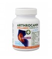 COLÁGENO Arthrocann collagen Omega 3-6