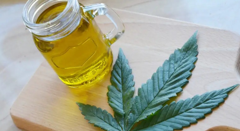 Hoja de cannabis al lado de una jarra de aceite de CBD