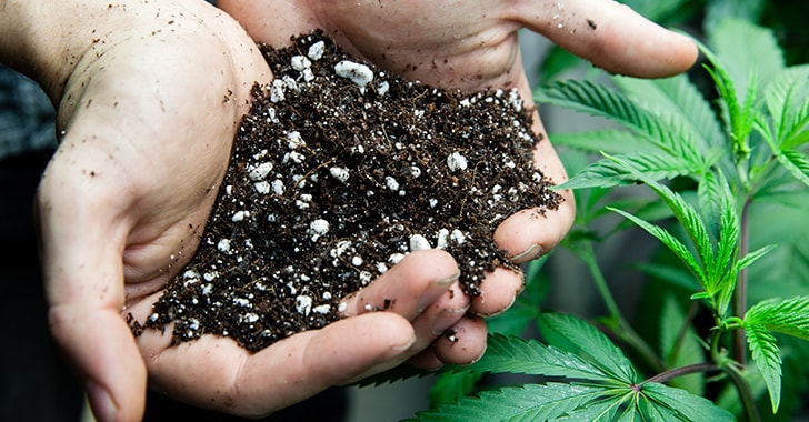 Sustrato con componentes orgánicos para cultivar marihuana