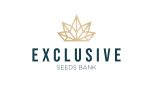 Exclusive Seeds Bank